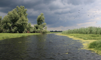 Hrvoje Domazetovič / Kopački rit Nature Park - Rain is about to come in Kopački rit