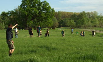 Pavol Stranovský - Excursion on Danube island