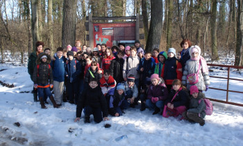 Radmila Sakić / Vojvodinašume - Visit of school children in Gornje Podunavlje Nature Reserve