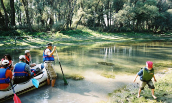 Krobath / Donau-Auen National Park - Boat excursion