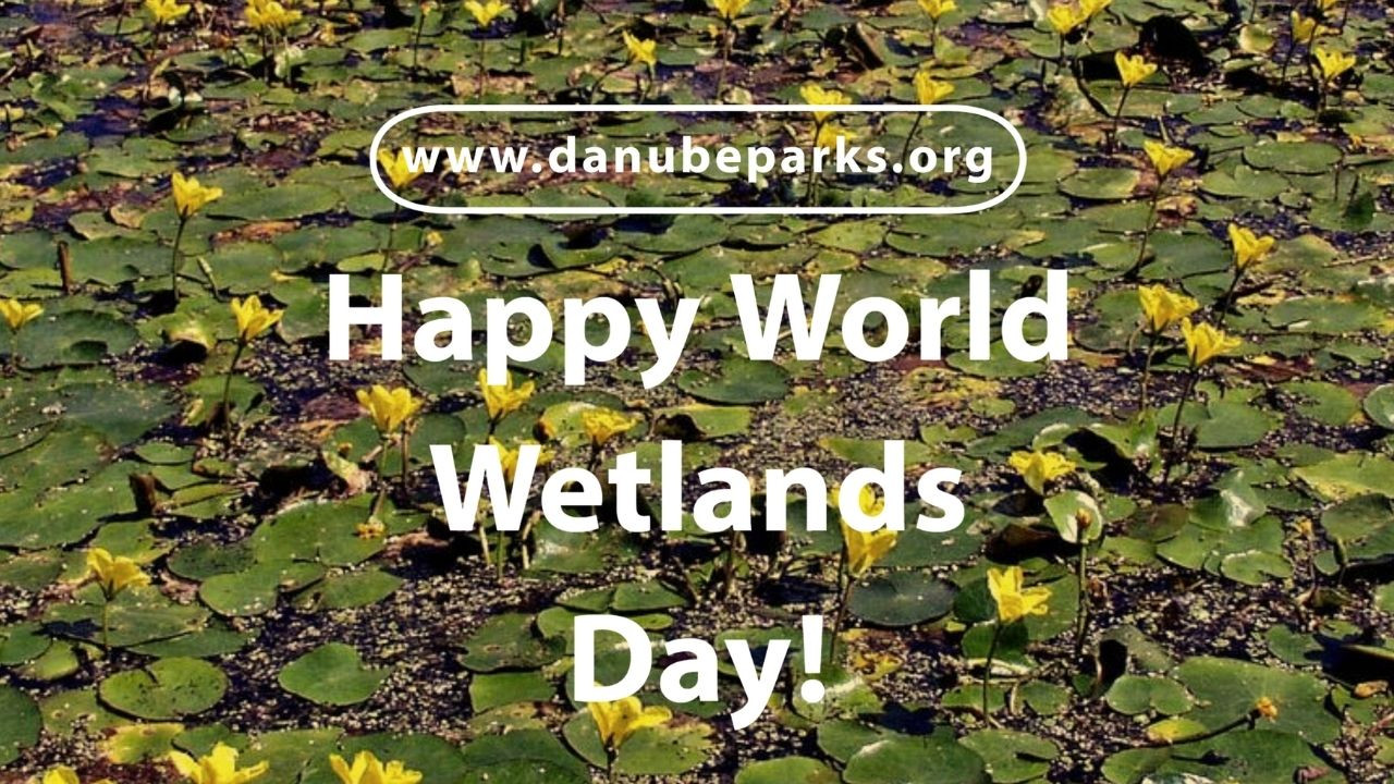 World Wetlands Day 2021.