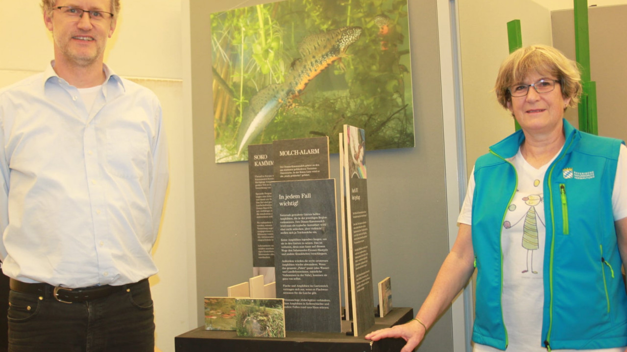 The Danube Crested Newt exhibition in Passau