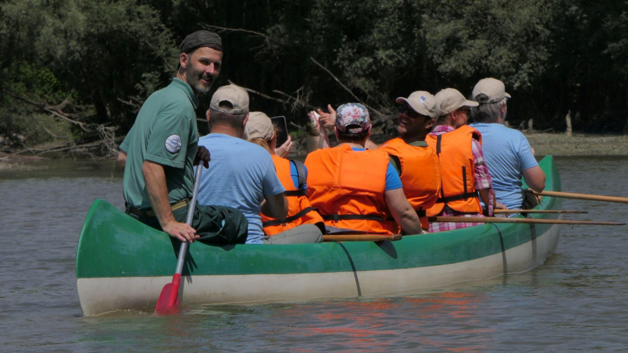 WILDisland - monitoring meeting and Danube Festival