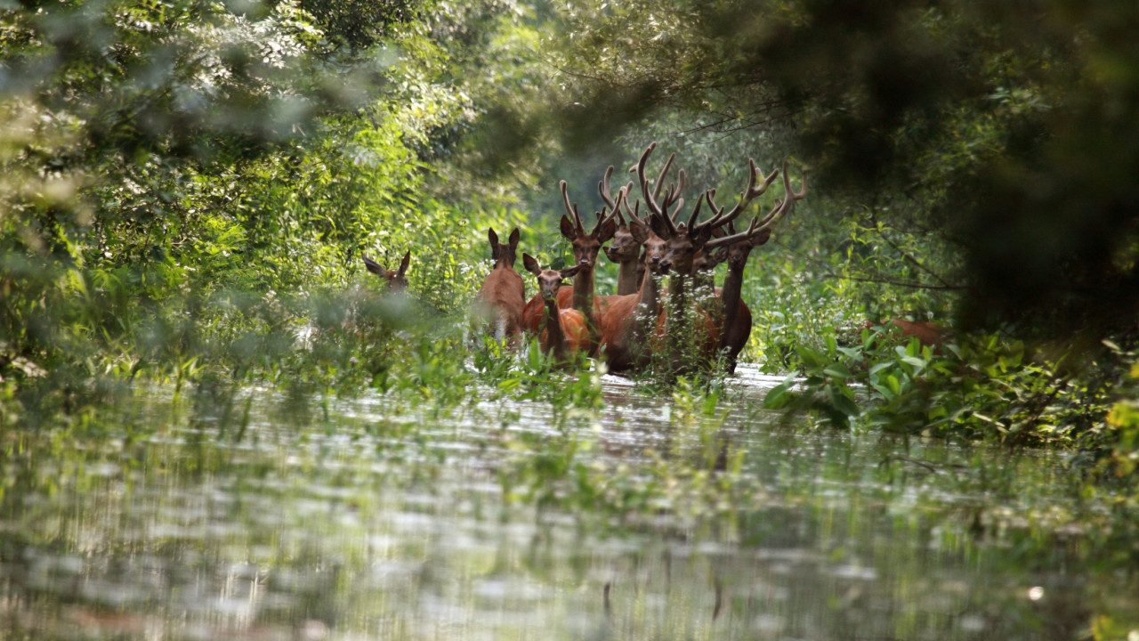 2nd Photo contest "Heart of the Danube" 2023