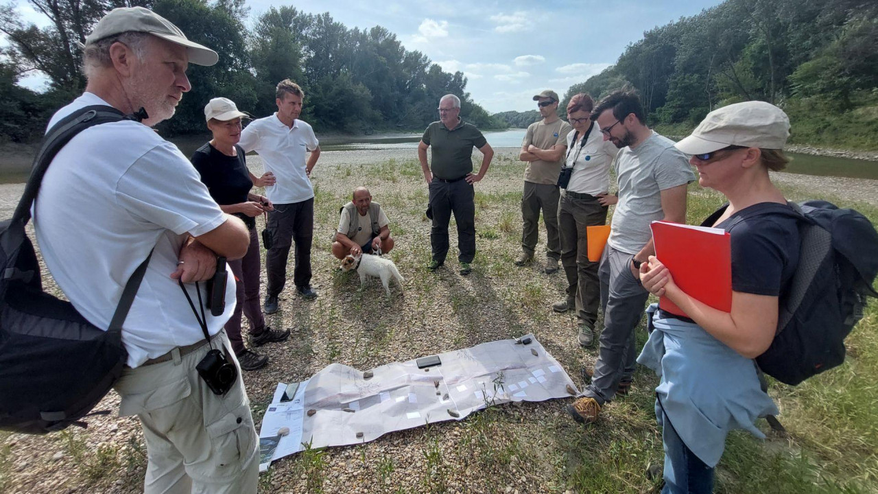 DANUBE4all and LIFE WILDisland: visit to the Paradeis and Schwalbeninsel islands