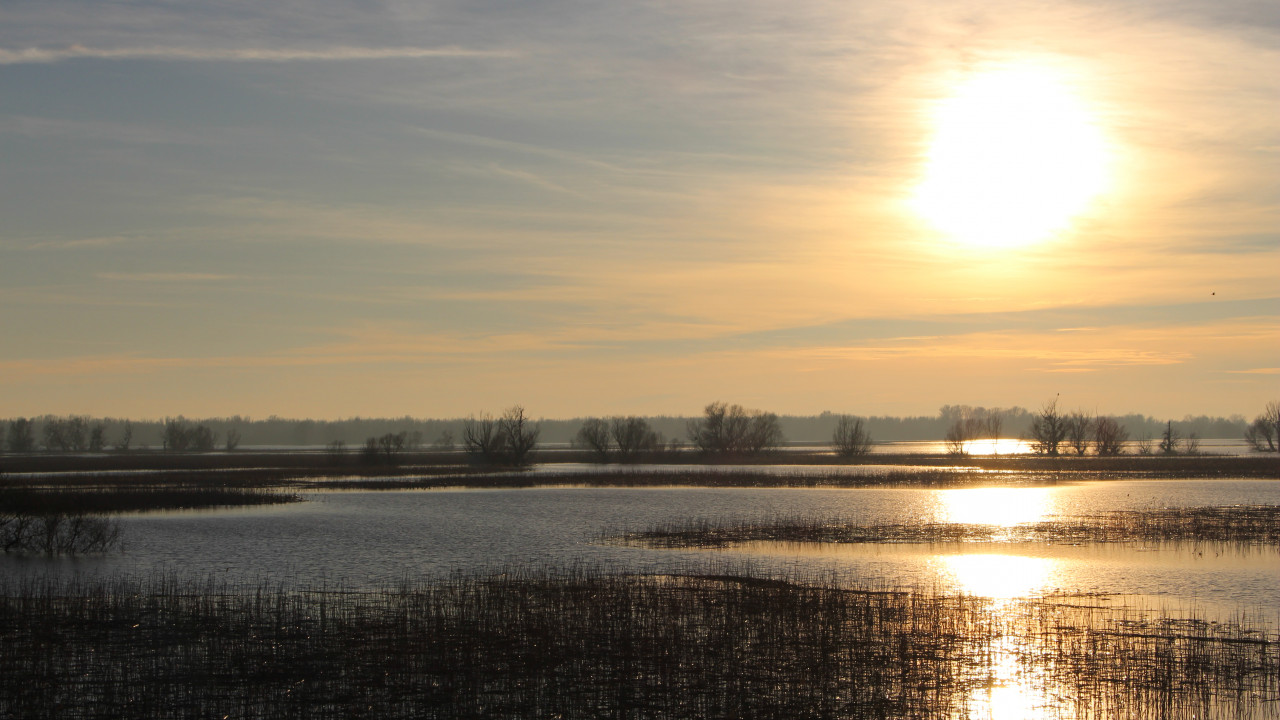 Announcement: "Together towards a Healthy Danube" Online Forum