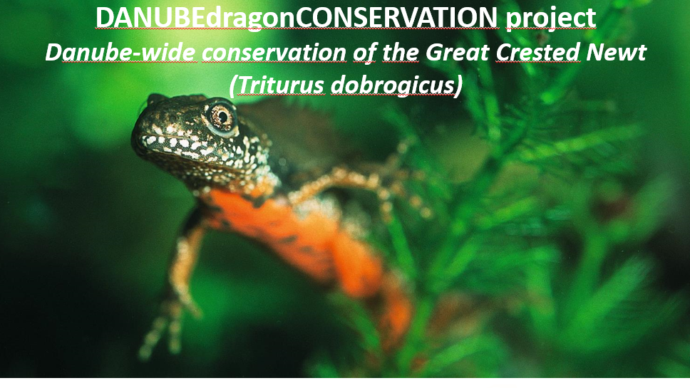 Kick-Off Conference: DANUBEdragonCONSERVATION