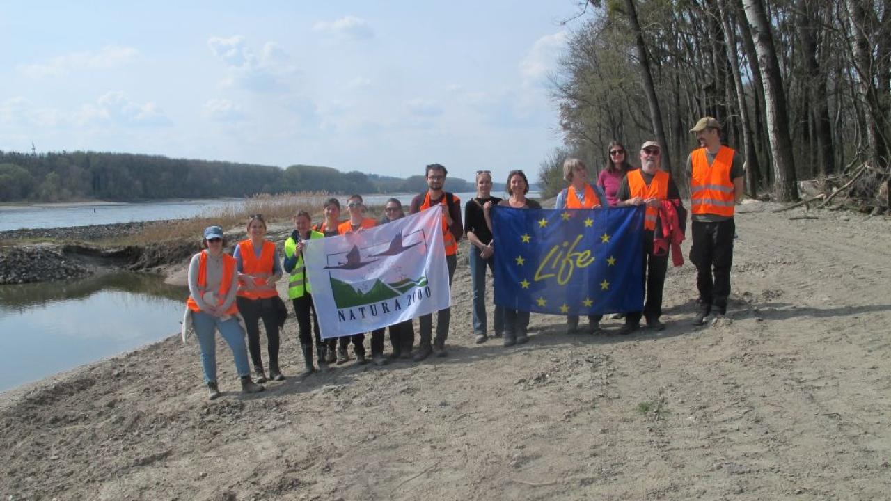 Learning Across Borders: hope for German WILDislands